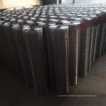 Welded wire mesh galvanized and PVC coated stainless steel